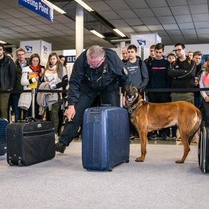 KarriereStart 2020, Messeimpression