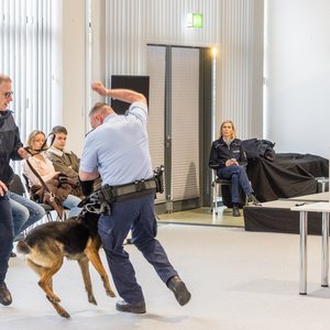 KariereStart 2026, Messeimpression