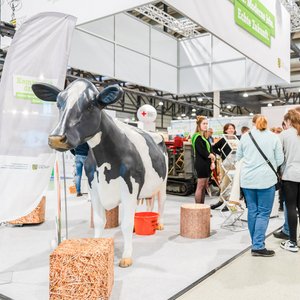 KarriereStart 2024, Messeimpression