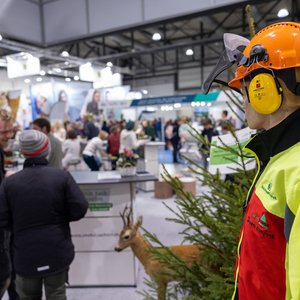 KarriereStart 2023, Messeimpression