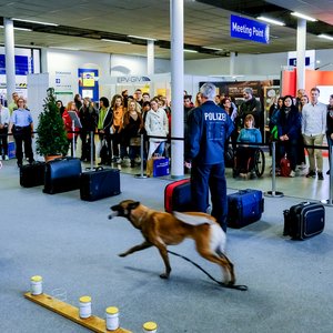 KarriereStart 2019, Messeimpression