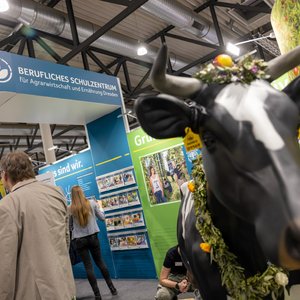 KarriereStart 2023, Messeimpression