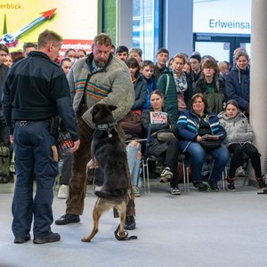 KarriereStart 2023, Messeimpression