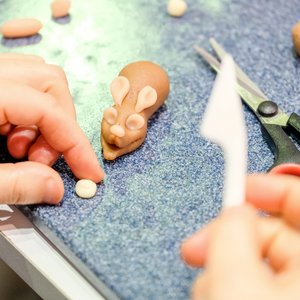 KarriereStart 2018, Messeimpression