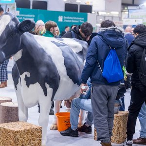 KarriereStart 2024, Messeimpression