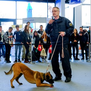 KarriereStart 2019, Messeimpression