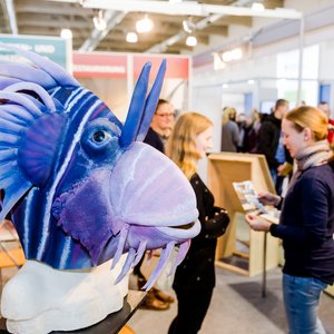 KarriereStart 2019, Messeimpression